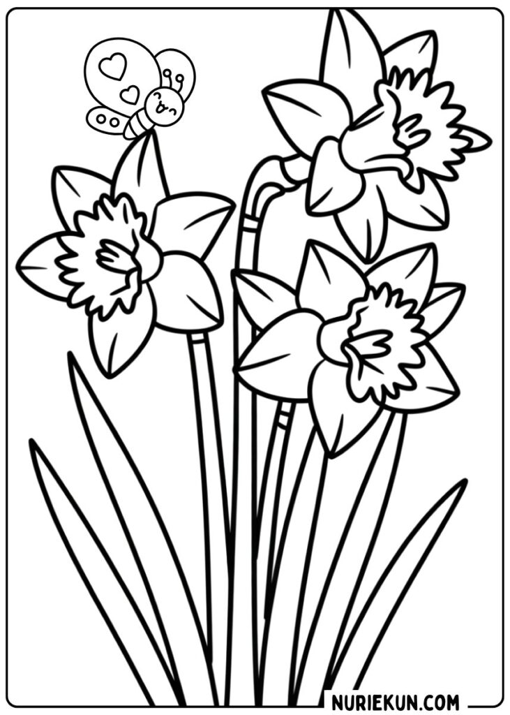 スイセンの花のぬりえ