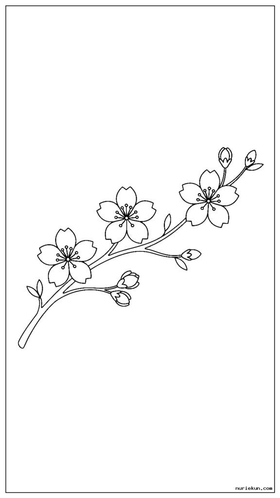 小さなつぼみと葉を持つ湾曲した枝で結ばれた 3 つの桜