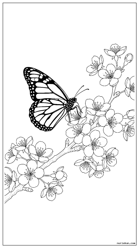 科学的に正確な桜の枝に着陸するオオカバマダラの詳細な様子と、花の解剖学が見える
