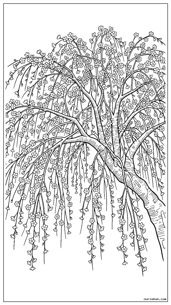 雄大な枝垂れ桜と花が咲き誇る